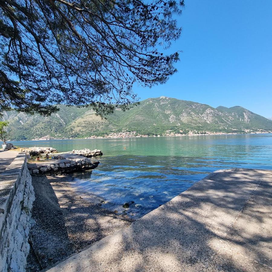 Lovely Apartment Jovan 3,With A View Of The Bay And Free Wi-Fi Kotor Eksteriør bilde